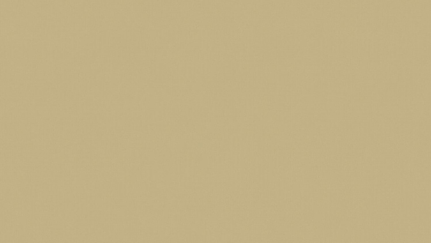 Tapiflex Excellence (19dB) - Tapped Metal BRASS